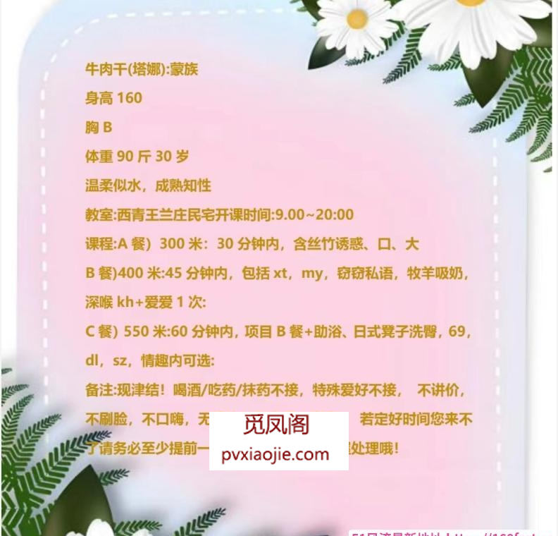 内蒙牛肉干少妇